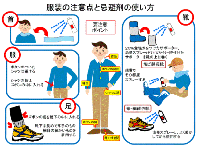 服装の注意点と忌避剤の使い方