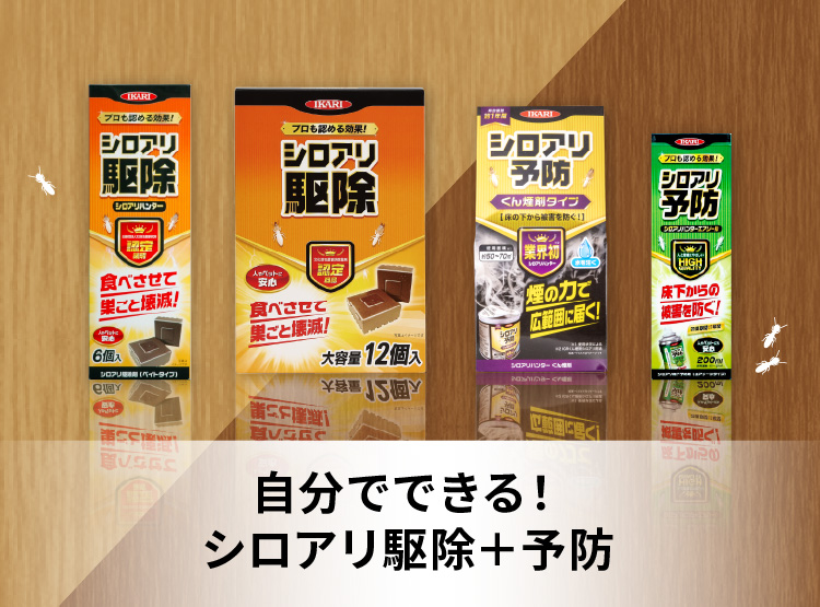 自分でできる！シロアリ対策