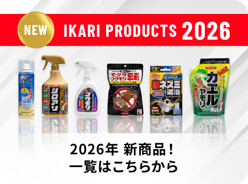 2026年新商品！